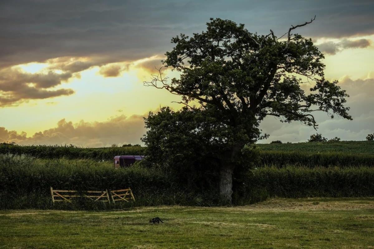 Villa The Stable- Hopewell Bristol Esterno foto