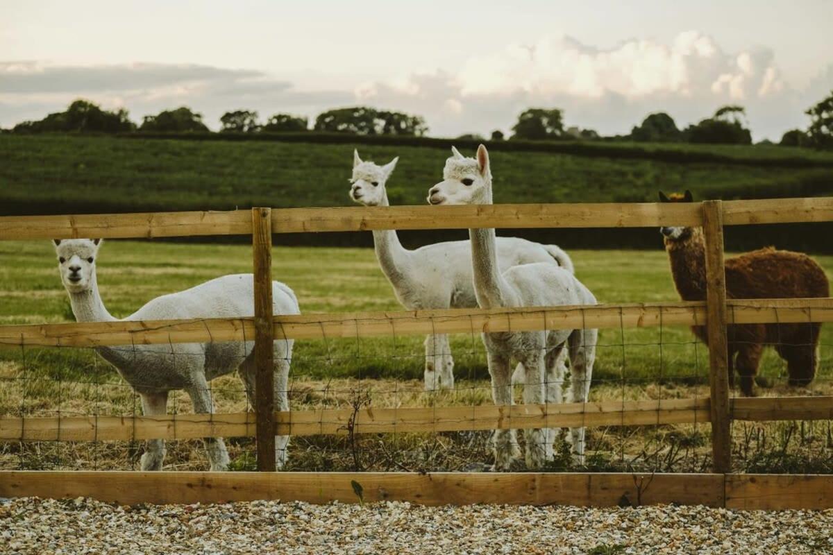 Villa The Stable- Hopewell Bristol Esterno foto